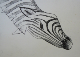 Kurz kreslení Praha- studie hlavy-jak nakreslit koně, zebru, osla