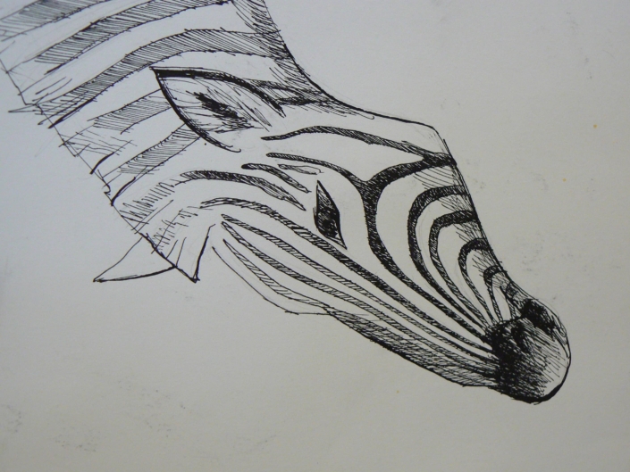 Kurz kreslení Praha- studie hlavy-jak nakreslit koně, zebru, osla