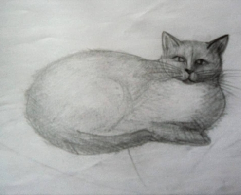 Kreslení kočky tužkou