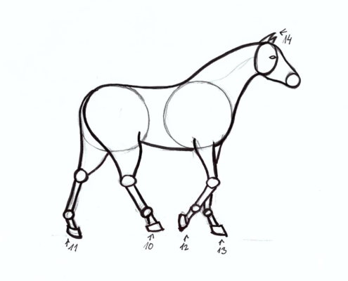 jak nakreslit koně Ateliér ŠUM