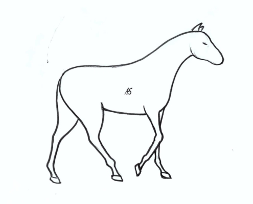 jak nakreslit koně Ateliér ŠUM