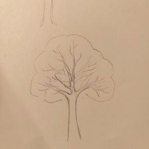 Jak nakreslit strom – krok 2, zpřesnění linií