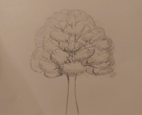 20261022_205617
